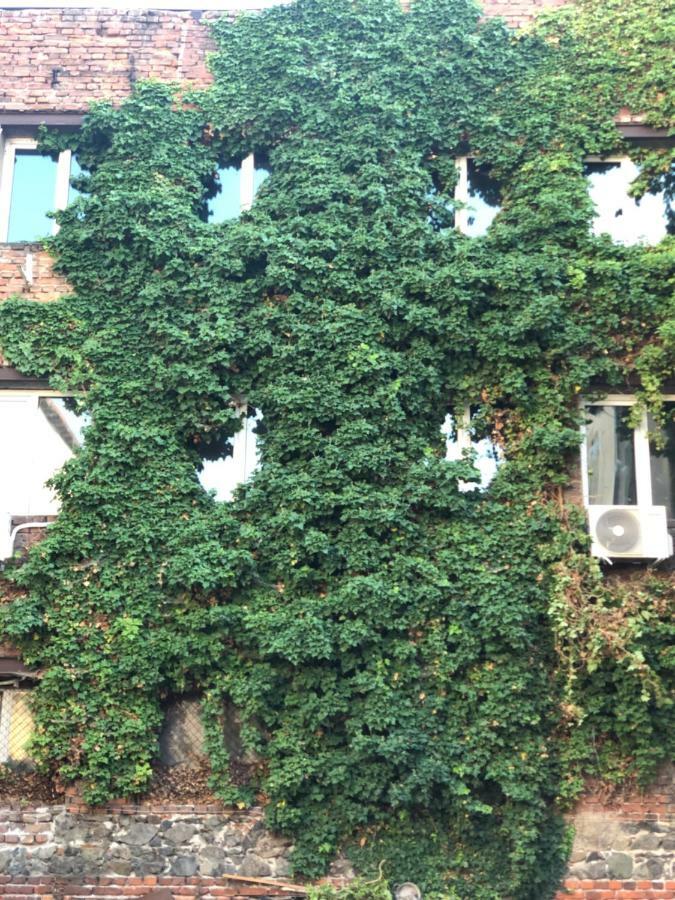 Appartement Center Dream House à Sofia Extérieur photo